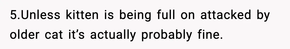5.Unless kitten is being full on attacked by older cat it’s actually probably fine.
