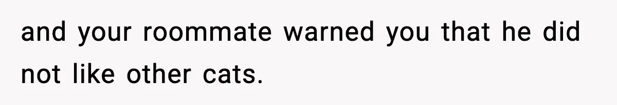 and your roommate warned you that he did not like other cats.
