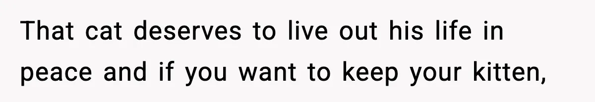 That cat deserves to live out his life in peace and if you want to keep your kitten,
