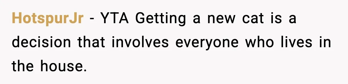 HotspurJr − YTA Getting a new cat is a decision that involves everyone who lives in the house.