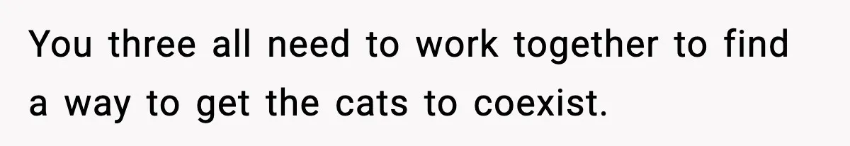 You three all need to work together to find a way to get the cats to coexist.