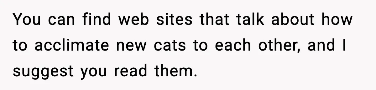 You can find web sites that talk about how to acclimate new cats to each other, and I suggest you read them.