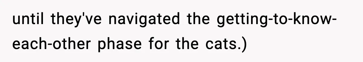 until they've navigated the getting-to-know-each-other phase for the cats.)