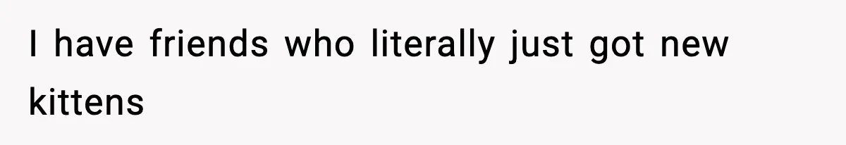 I have friends who literally just got new kittens