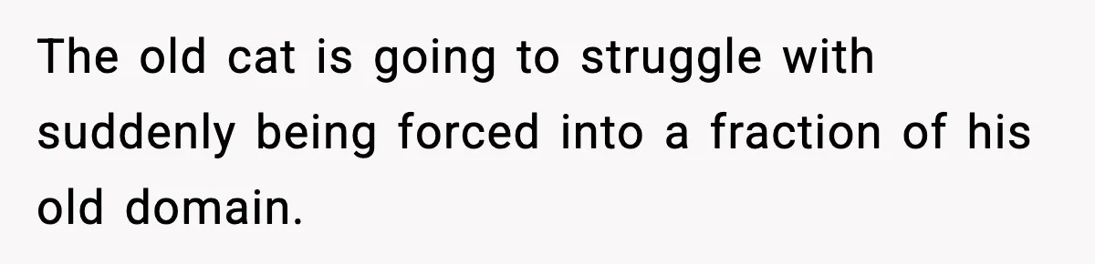 The old cat is going to struggle with suddenly being forced into a fraction of his old domain.