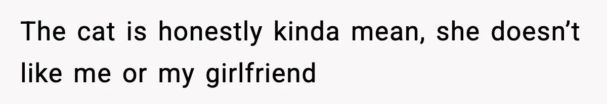 The cat is honestly kinda mean, she doesn’t like me or my girlfriend