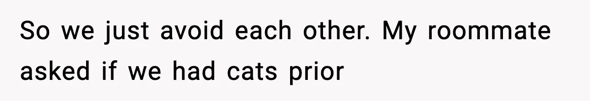 So we just avoid each other. My roommate asked if we had cats prior