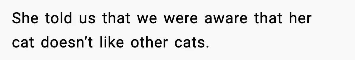 She told us that we were aware that her cat doesn’t like other cats.