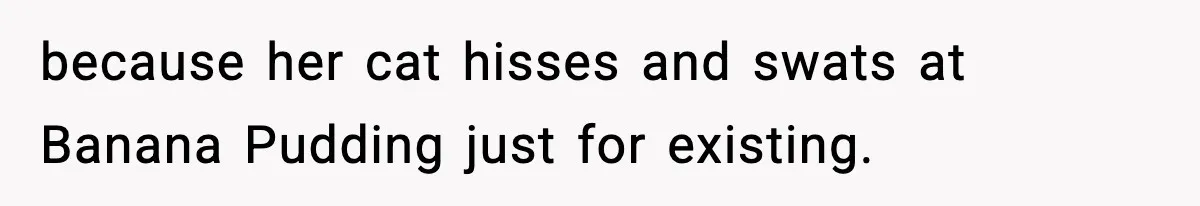 because her cat hisses and swats at Banana Pudding just for existing.