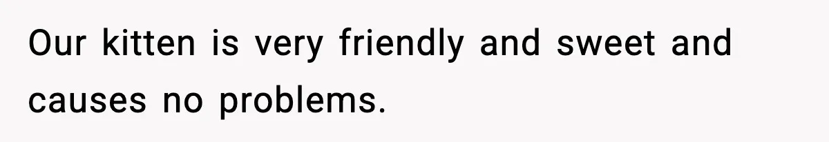 Our kitten is very friendly and sweet and causes no problems.