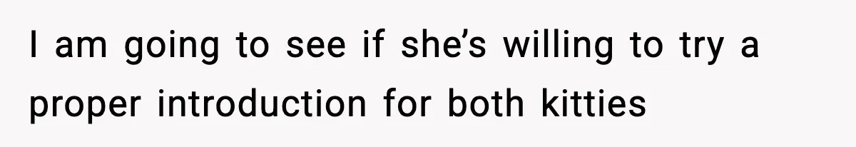 I am going to see if she’s willing to try a proper introduction for both kitties