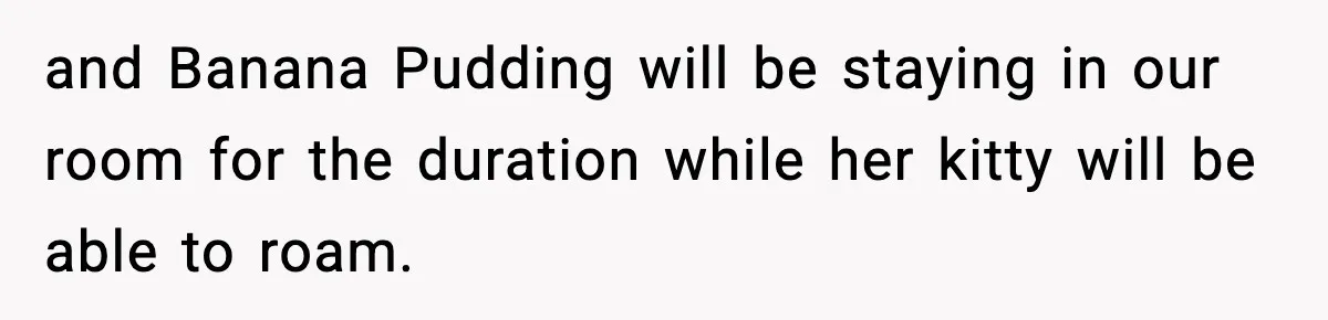 and Banana Pudding will be staying in our room for the duration while her kitty will be able to roam.