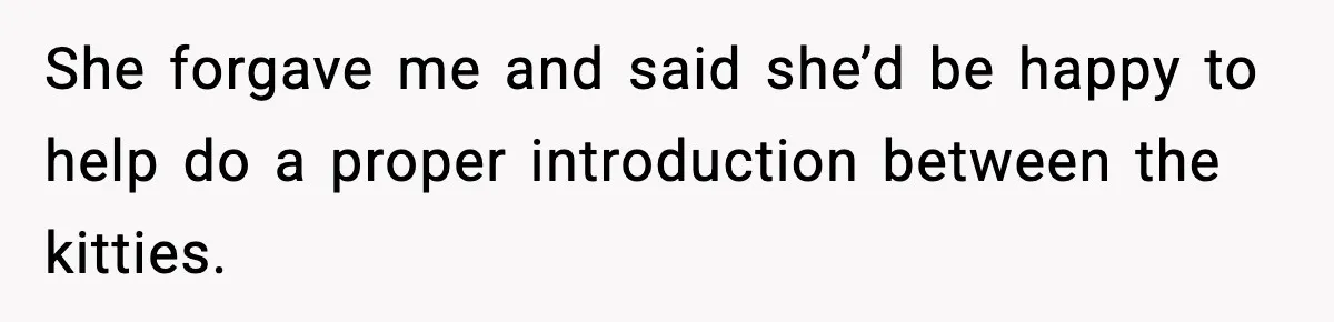 She forgave me and said she’d be happy to help do a proper introduction between the kitties.