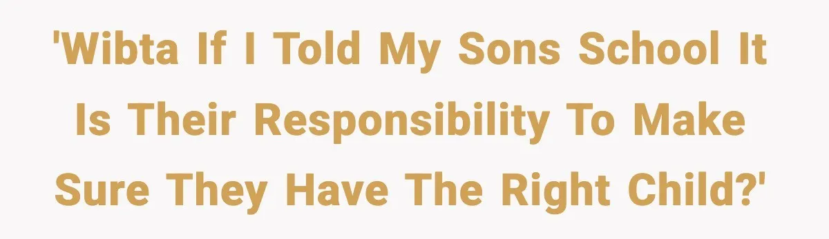 'WIBTA if I told my sons school it is their responsibility to make sure they have the right child?'