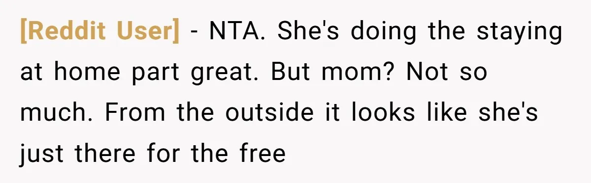 [Reddit User] − NTA. She's doing the staying at home part great. But mom? Not so much. From the outside it looks like she's just there for the free