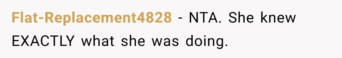 Son Stops Caving To His Abusive Mom, Leaves Her At the Airport After Last-Minute Drama Flat-Replacement4828 − NTA. She knew EXACTLY what she was doing.