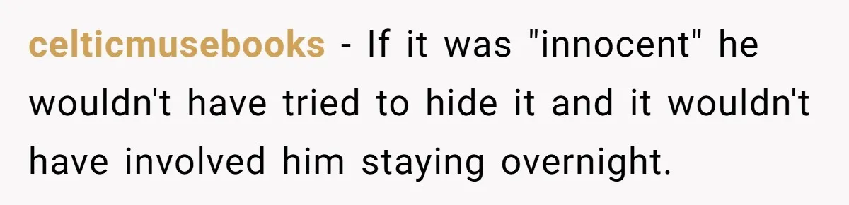 celticmusebooks − If it was "innocent" he wouldn't have tried to hide it and it wouldn't have involved him staying overnight.