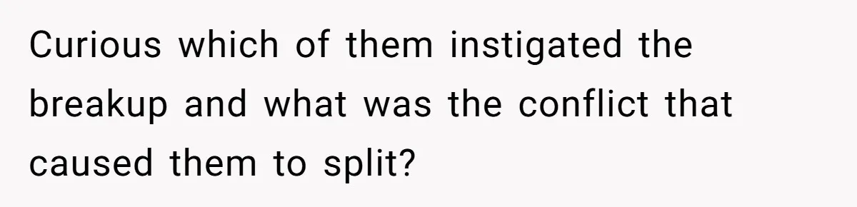 Curious which of them instigated the breakup and what was the conflict that caused them to split?