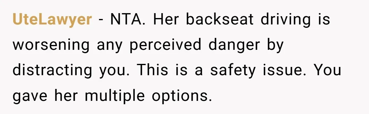 UteLawyer − NTA. Her backseat driving is worsening any perceived danger by distracting you. This is a safety issue. You gave her multiple options.