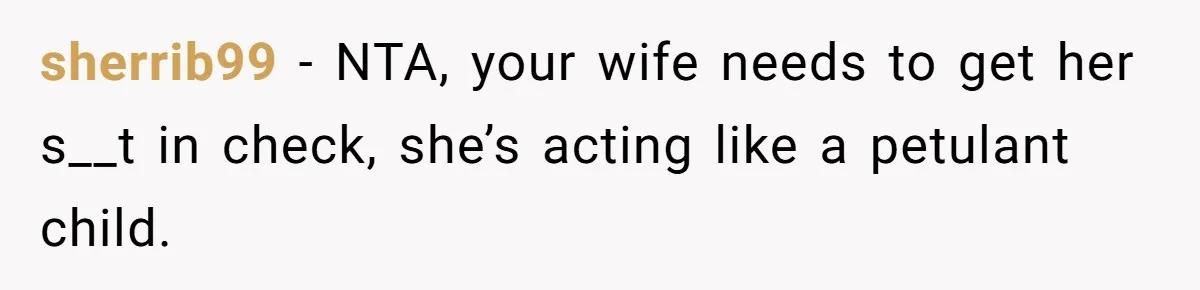 sherrib99 − NTA, your wife needs to get her s__t in check, she’s acting like a petulant child.