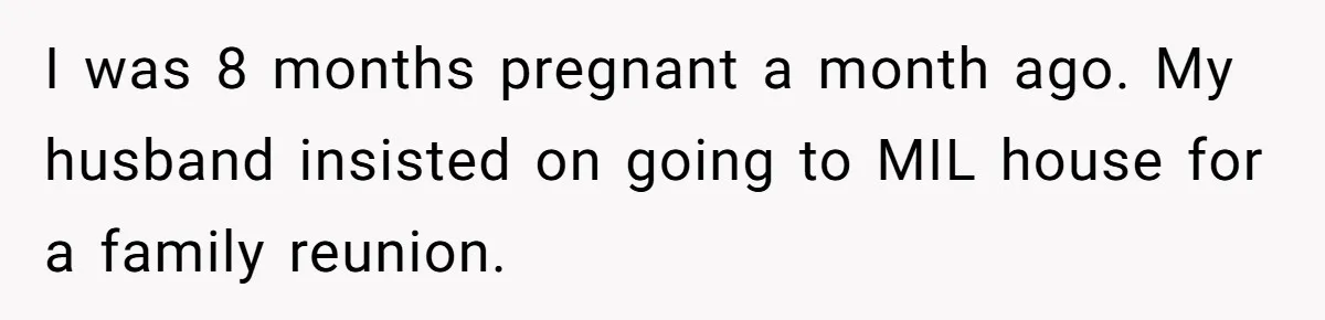 I was 8 months pregnant a month ago. My husband insisted on going to MIL house for a family reunion.