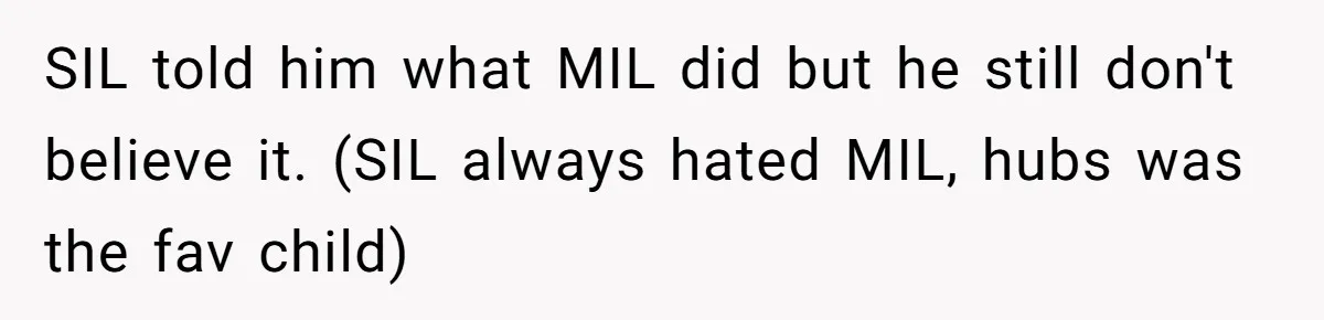SIL told him what MIL did but he still don't believe it. (SIL always hated MIL, hubs was the fav child)