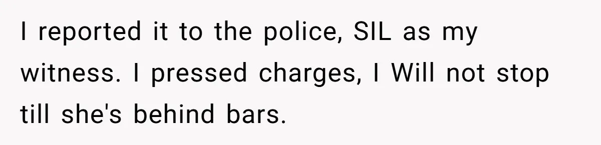 I reported it to the police, SIL as my witness. I pressed charges, I Will not stop till she's behind bars.