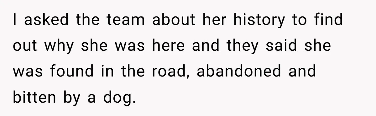 I asked the team about her history to find out why she was here and they said she was found in the road, abandoned and bitten by a dog.
