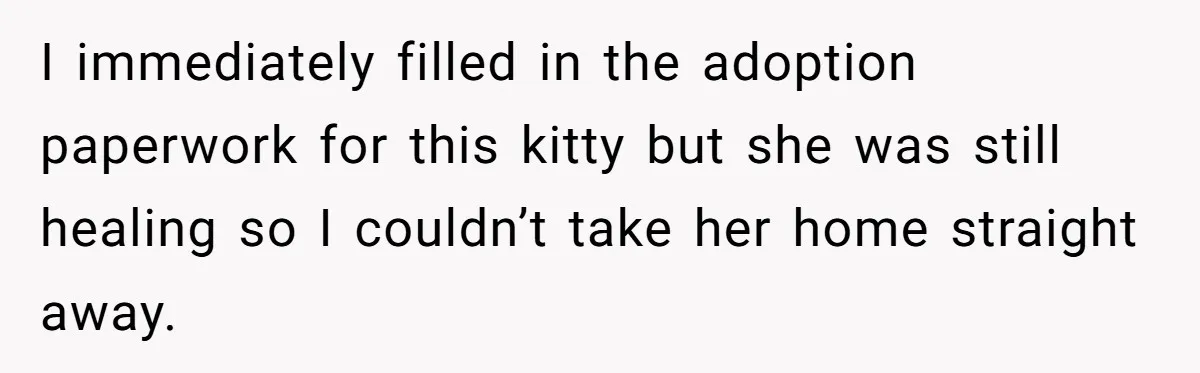 I immediately filled in the adoption paperwork for this kitty but she was still healing so I couldn’t take her home straight away.