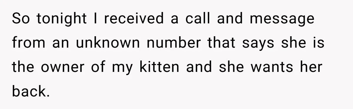 So tonight I received a call and message from an unknown number that says she is the owner of my kitten and she wants her back.