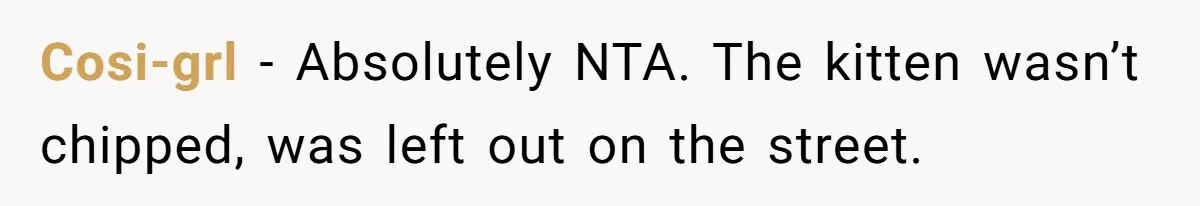 Cosi-grl − Absolutely NTA. The kitten wasn’t chipped, was left out on the street.