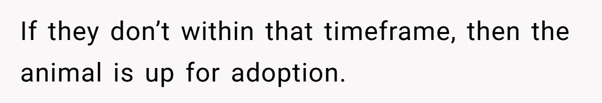 If they don’t within that timeframe, then the animal is up for adoption.