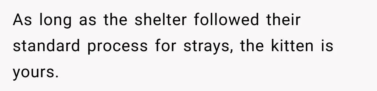As long as the shelter followed their standard process for strays, the kitten is yours.