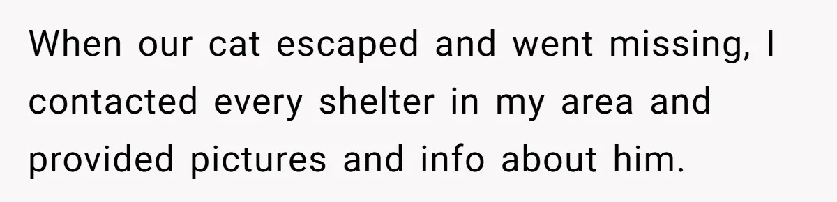 When our cat escaped and went missing, I contacted every shelter in my area and provided pictures and info about him.