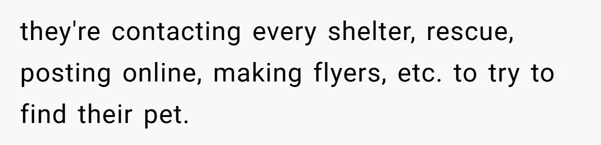 they're contacting every shelter, rescue, posting online, making flyers, etc. to try to find their pet.