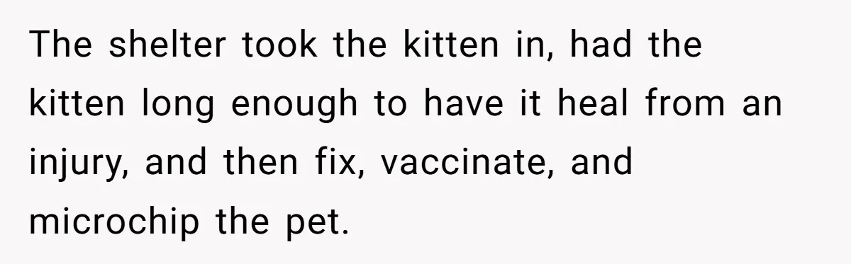 The shelter took the kitten in, had the kitten long enough to have it heal from an injury, and then fix, vaccinate, and microchip the pet.