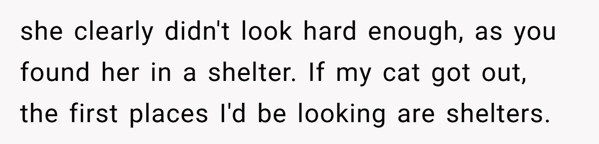 she clearly didn't look hard enough, as you found her in a shelter. If my cat got out, the first places I'd be looking are shelters.