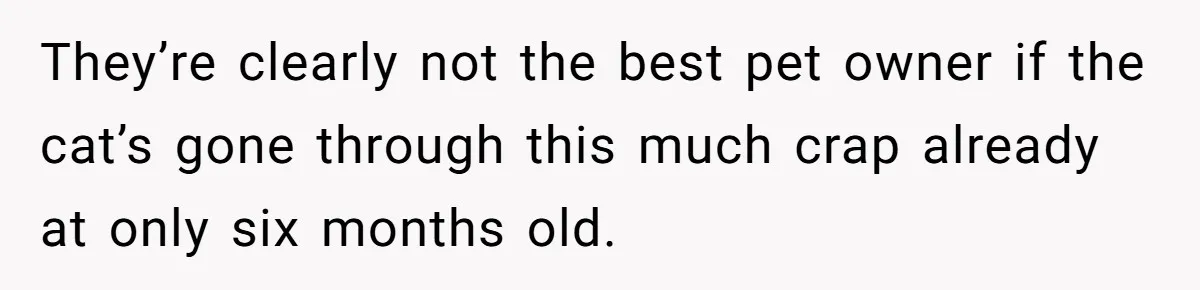 They’re clearly not the best pet owner if the cat’s gone through this much crap already at only six months old.