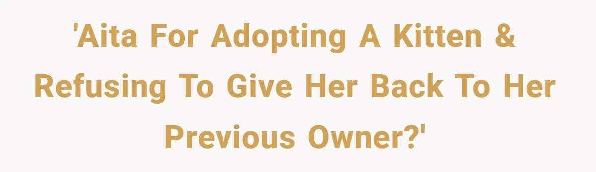 'AITA for adopting a kitten & refusing to give her back to her previous owner?'