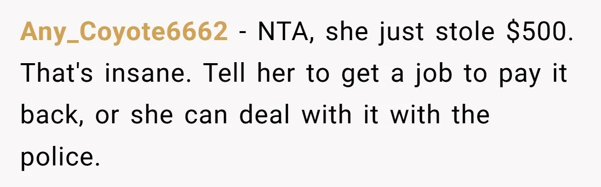 Any_Coyote6662 − NTA, she just stole $500. That's insane. Tell her to get a job to pay it back, or she can deal with it with the police.