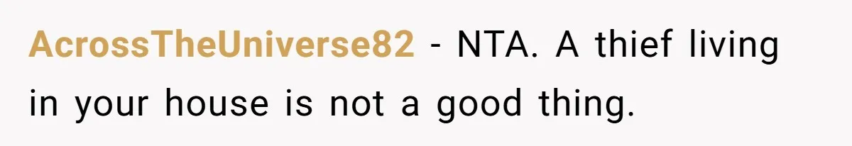 AcrossTheUniverse82 − NTA. A thief living in your house is not a good thing.