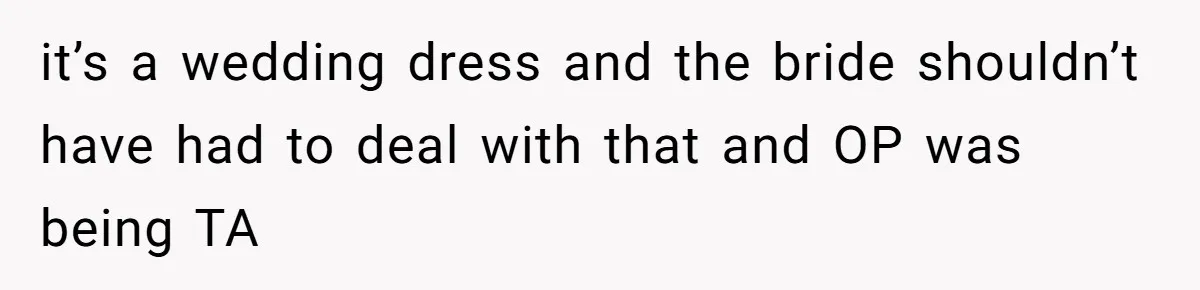 it’s a wedding dress and the bride shouldn’t have had to deal with that and OP was being TA