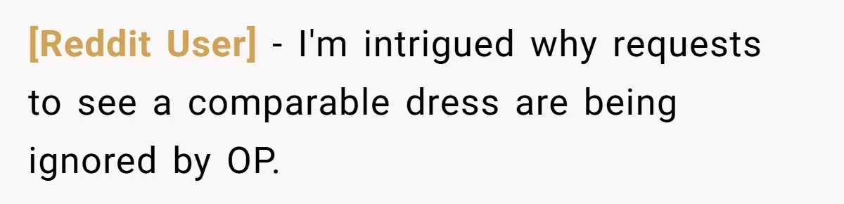 [Reddit User] − I'm intrigued why requests to see a comparable dress are being ignored by OP.