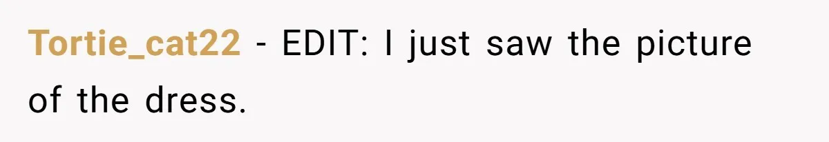 Tortie_cat22 − EDIT: I just saw the picture of the dress.