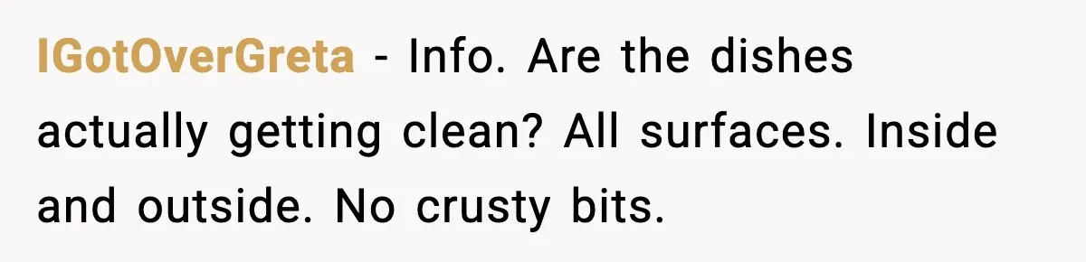 IGotOverGreta - Info. Are the dishes actually getting clean? All surfaces. Inside and outside. No crusty bits.