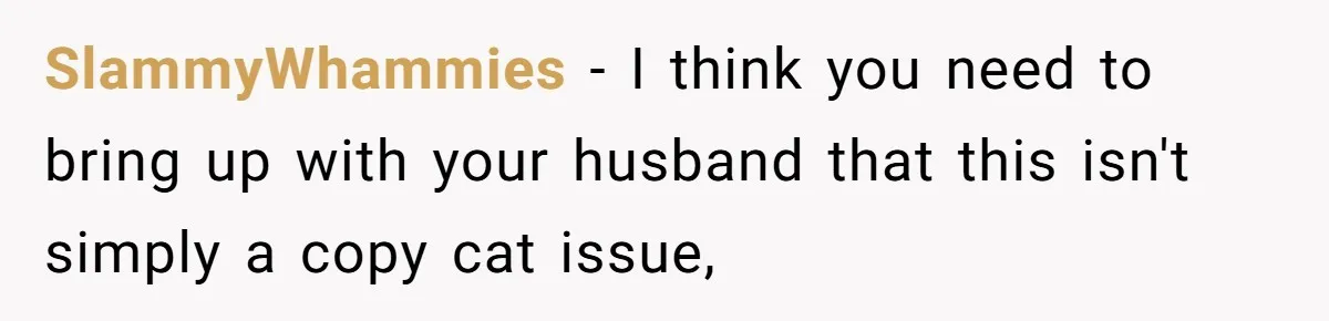 SlammyWhammies − I think you need to bring up with your husband that this isn't simply a copy cat issue,