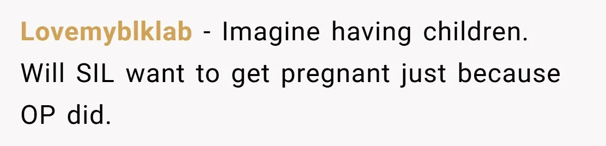 Lovemyblklab − Imagine having children. Will SIL want to get pregnant just because OP did.