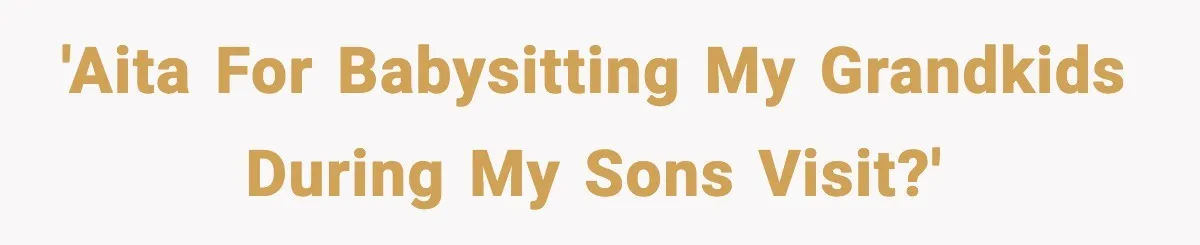 'AITA for babysitting my grandkids during my sons visit?'