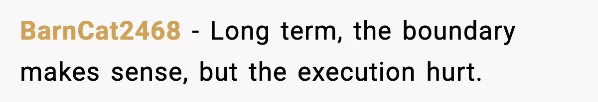 BarnCat2468 - Long term, the boundary makes sense, but the execution hurt.
