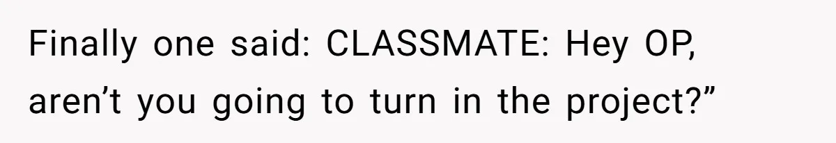 Finally one said: CLASSMATE: Hey OP, aren’t you going to turn in the project?”